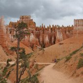  Bryce Canyon